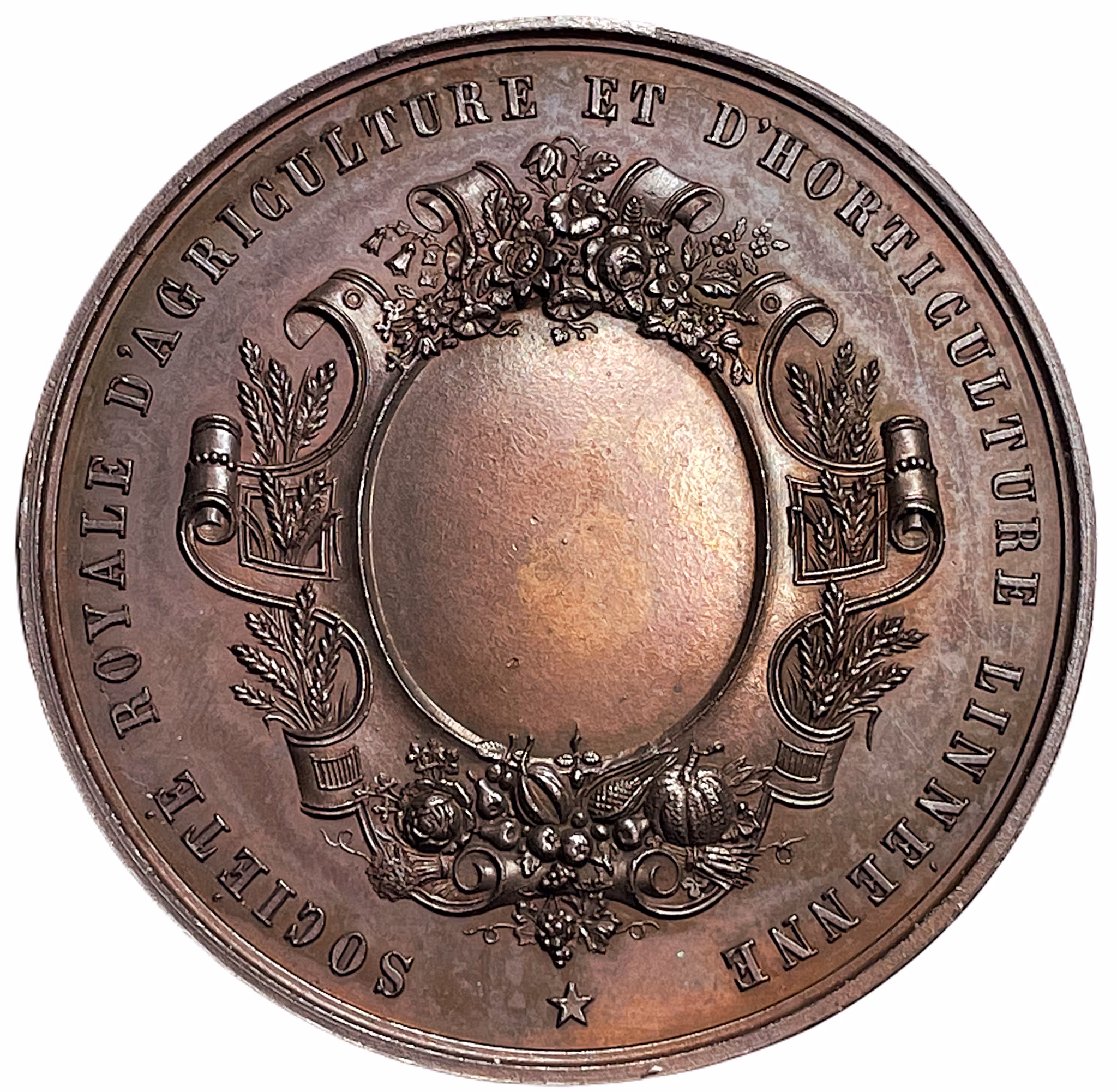 Carl von Linné (1707-1778) - av Jean Würden 1847