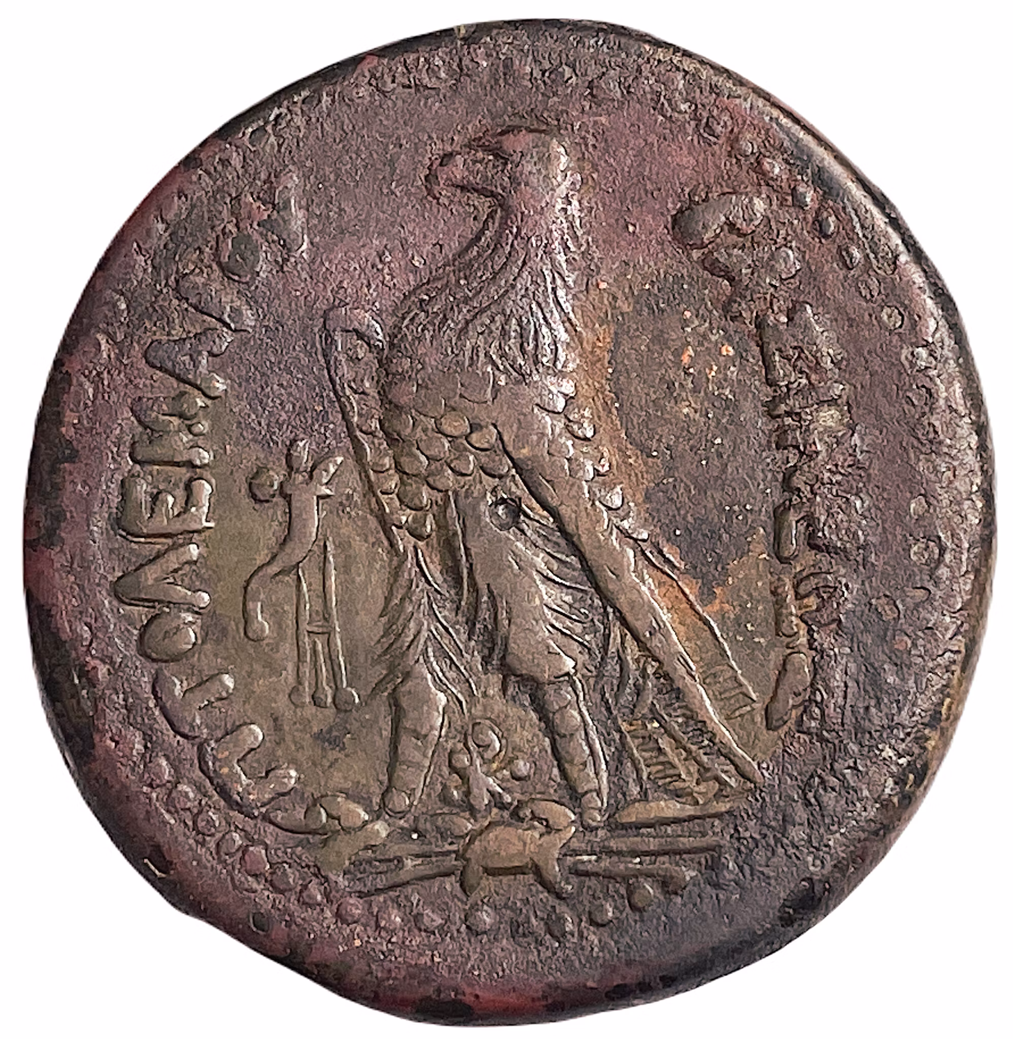 Det Ptolemaiska kungariket. Ptolemaios III (246-222 f.Kr.). Bronsmynt, 42 mm - Ett härligt stort mynt från faraonernas land Egypten