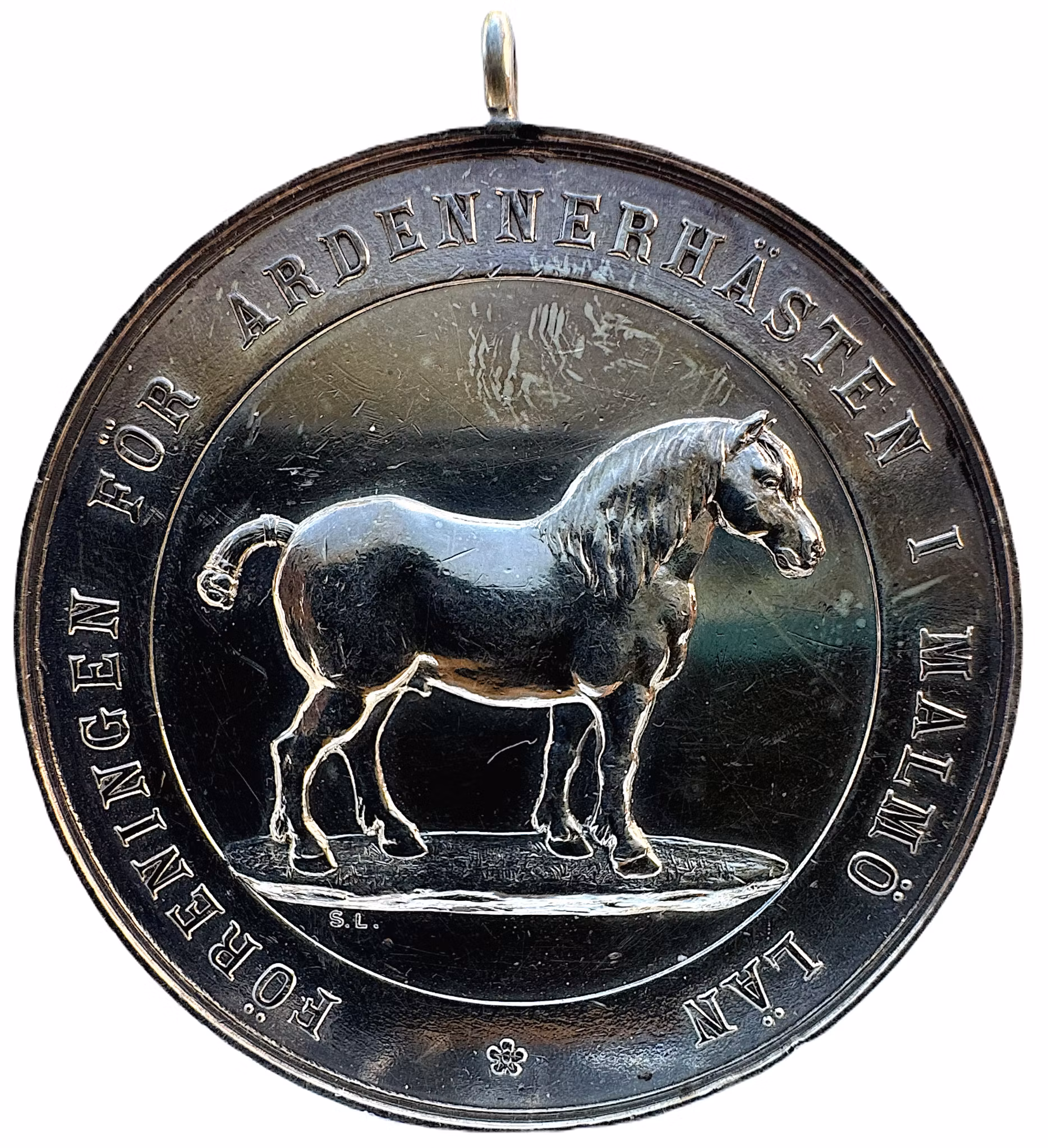 Föreningen för Ardennerhästen i Malmö län - Mycket sällsynt