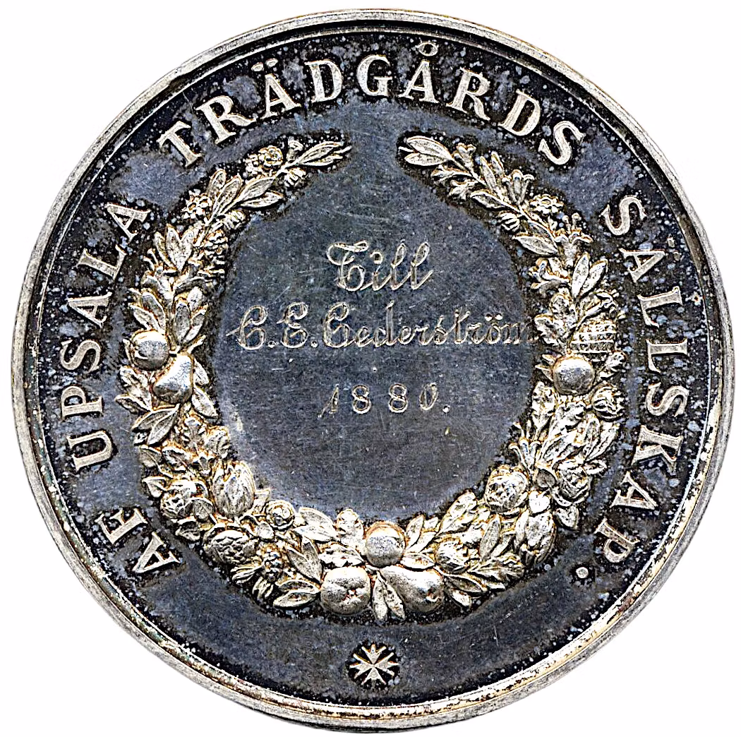 Oskar II - Uppsala Trädgårdssällskap 1880 - En underbar silvermedalj med frostaktig relief och djupt spegelglänsande fält