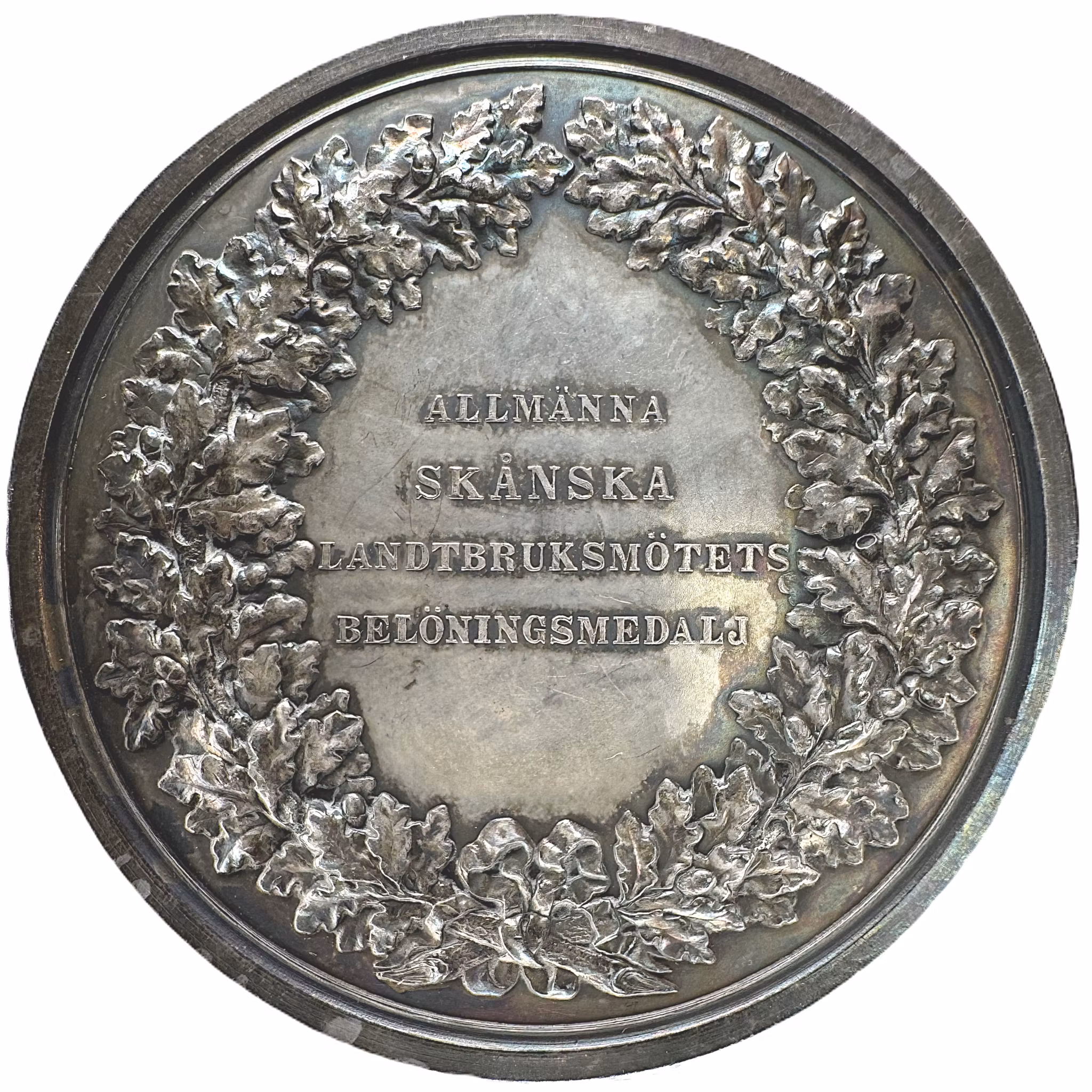 Oskar II - Allmänna Skånska lantbruksmötets belöningsmedalj (1875) - Massiv silvermedalj av Lea Ahlborn