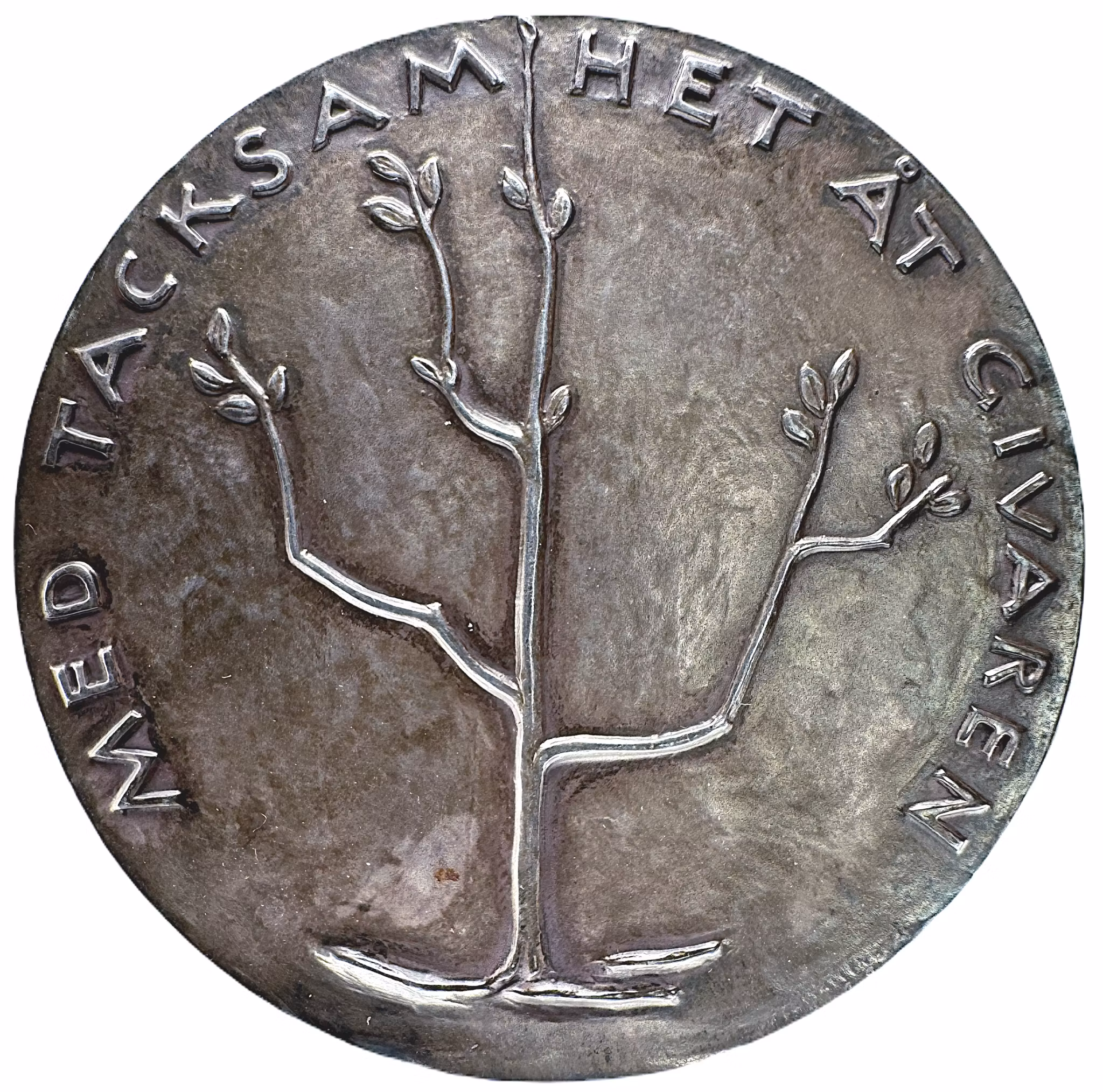 Gustav V - Blomsterfonden - grundad 1921 av Alma Hedin, syster till upptäcktsresanden Sven Hedin. Silvermedalj av Axel Wallenberg - Underbar modernistisk medalj från 1929 - EXTREMT SÄLLSYNT