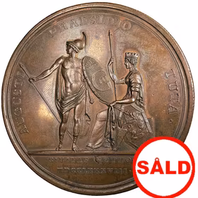 Konungen räddar Göteborg från den danska krigshärens anfall i oktober 1788 av Carl Gustaf Fehrman - Mycket sällsynt