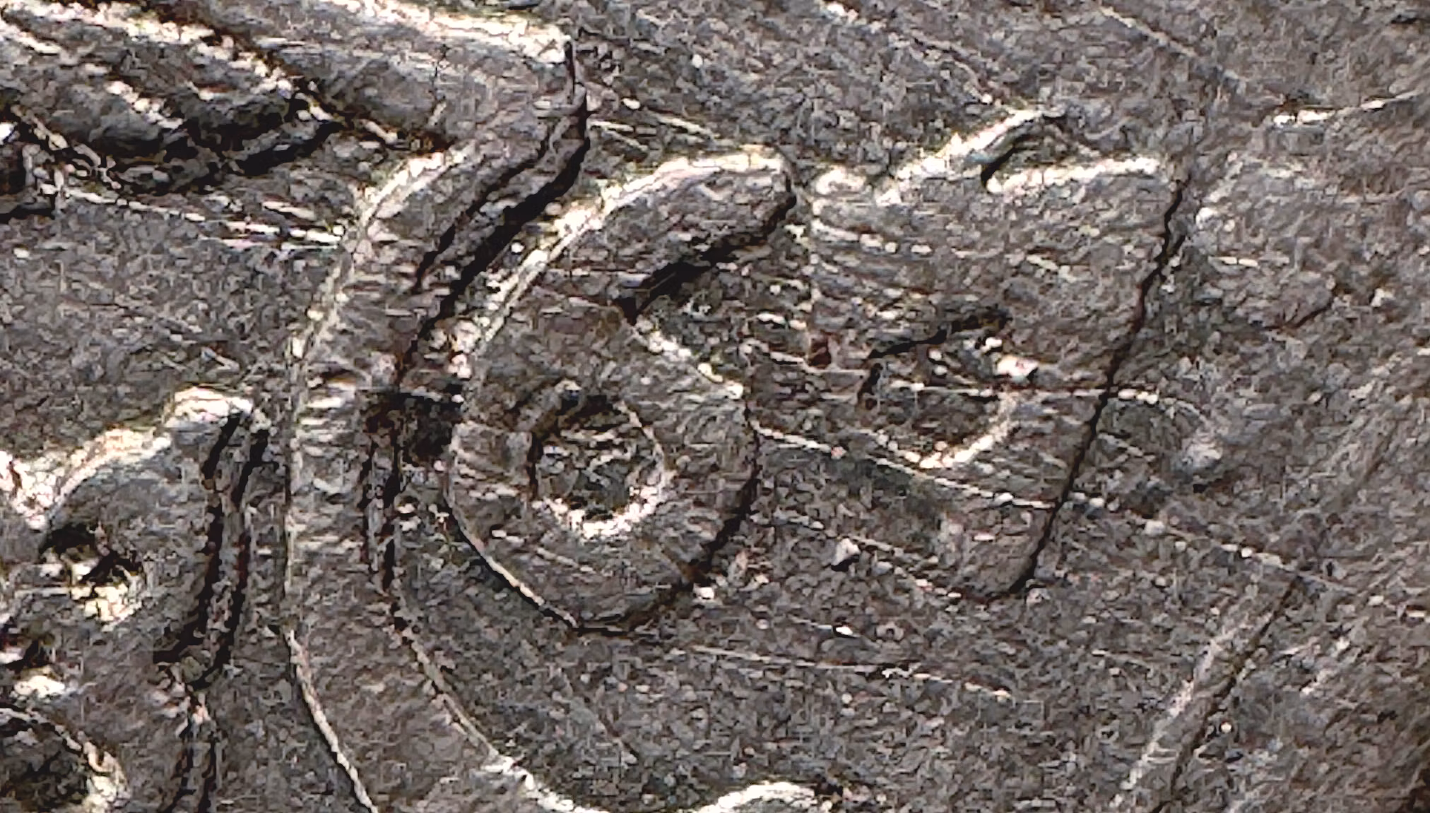 Erik XIV - 16 Öre 1567 på 6 - Mycket sällsynt och tidigare odokumenterad