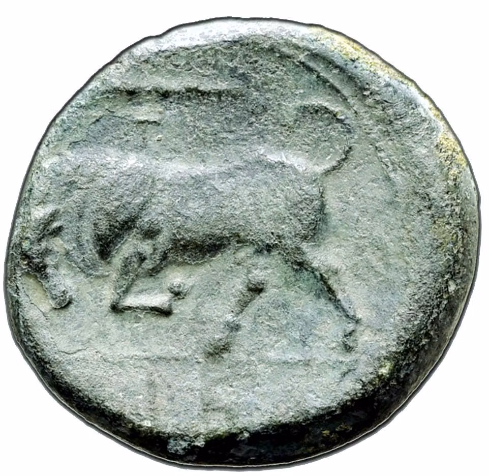 Sicilien, Syrakusa, Brons 19mm, Hieron II cirka 263-215 f.Kr