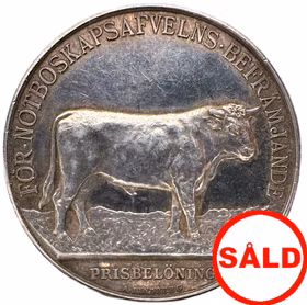 Gustav V - Belöningsmedalj för Blekinge läns kungliga hushållningssällskap av Adolf Lindberg, utdelad 1929 - Vackert motiv