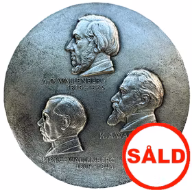 Familjen Wallenberg - Stockholms Enskilda Banks 100-årsjubileum 1956 av Ivar Johansson