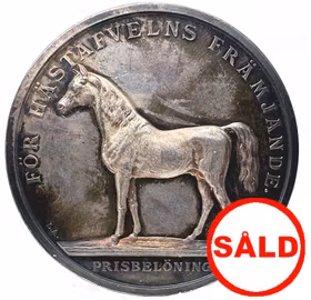 Oskar II - Medalj för Hästavelns Främjande av Lea Ahlborn - Ett utsökt exemplar utöver det vanliga