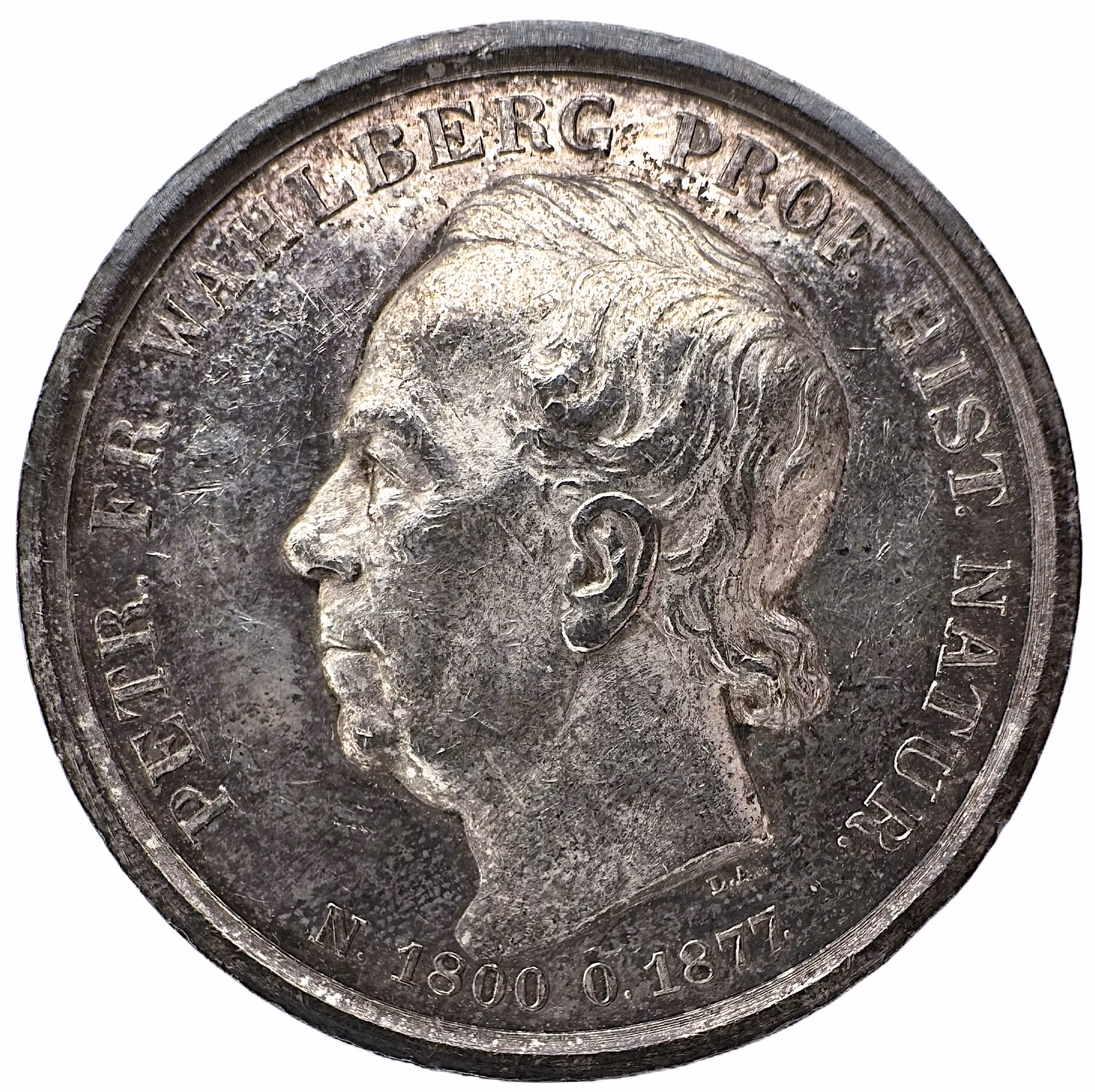 Peter Fredrik Wahlberg (1800-1877) av Lea Ahlborn 1883 för Kungliga Vetenskapsakademien - Fjärilen vid hallonbusken