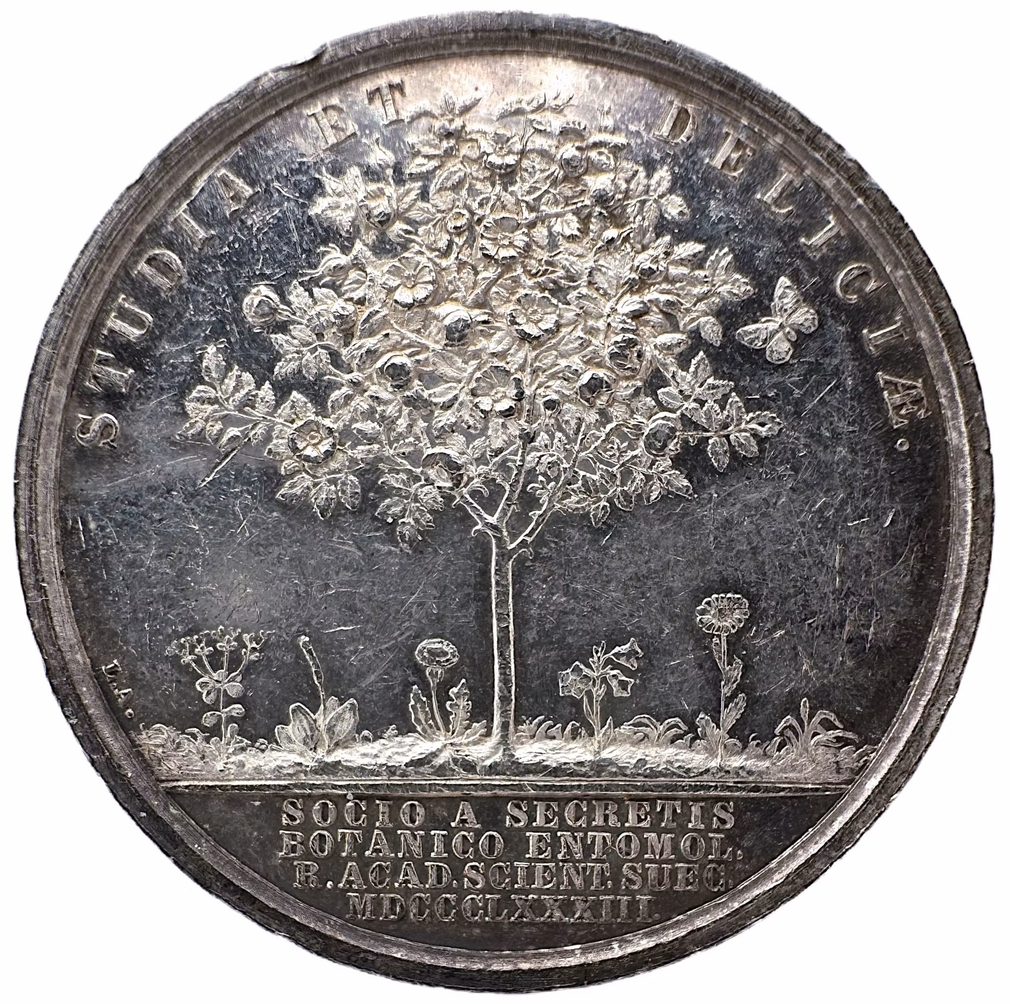 Peter Fredrik Wahlberg (1800-1877) av Lea Ahlborn 1883 för Kungliga Vetenskapsakademien - Fjärilen vid hallonbusken