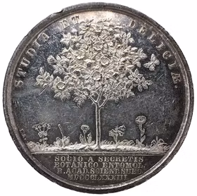 Peter Fredrik Wahlberg (1800-1877) av Lea Ahlborn 1883 för Kungliga Vetenskapsakademien - Fjärilen vid hallonbusken