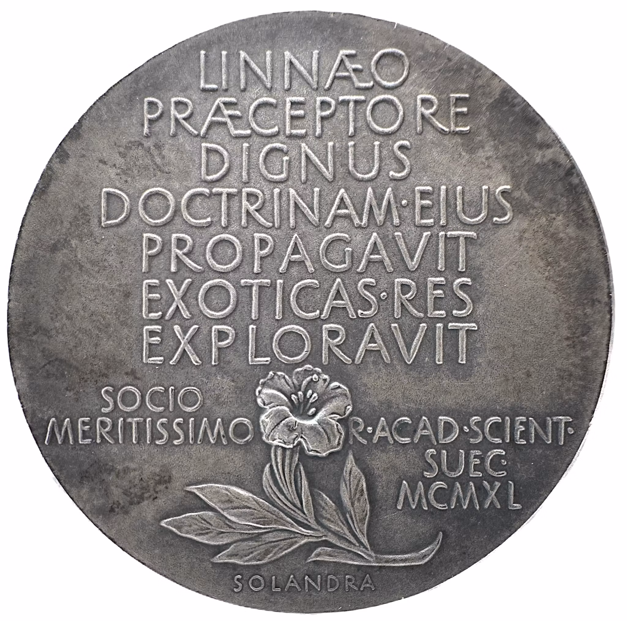Daniel Solander (1733–1782). Graverad av Erik Lindberg för Kungliga Vetenskapsakademien 1940 - Linnés apostel på världshaven - Den hängivne lärjungen