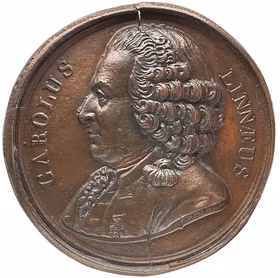 Carl von Linné (1707–1778). Ensidig gjuten skålla efter Joseph Eugène Dubois modell (1818) - XR - Blomsterkonungen i brons: Från Stenbrohult till världsrykte - En medfödd kärlek till naturen