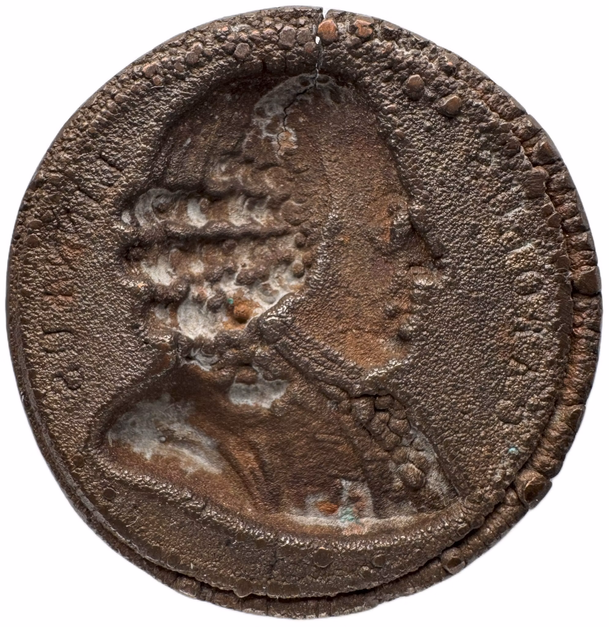 Carl von Linné (1707–1778). Ensidig gjuten skålla efter Joseph Eugène Dubois modell (1818) - XR - Blomsterkonungen i brons: Från Stenbrohult till världsrykte - En medfödd kärlek till naturen