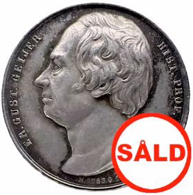 Erik Gustaf Geijer (1783–1847) av Lea Ahlborn för Kungl. Vetenskapsakademien 1870 - Odödlighetens frukter