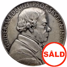 Wilhelm Erik Svedelius (1816–1889) av Erik Lindberg för Kungliga Vetenskapsakademien 1904