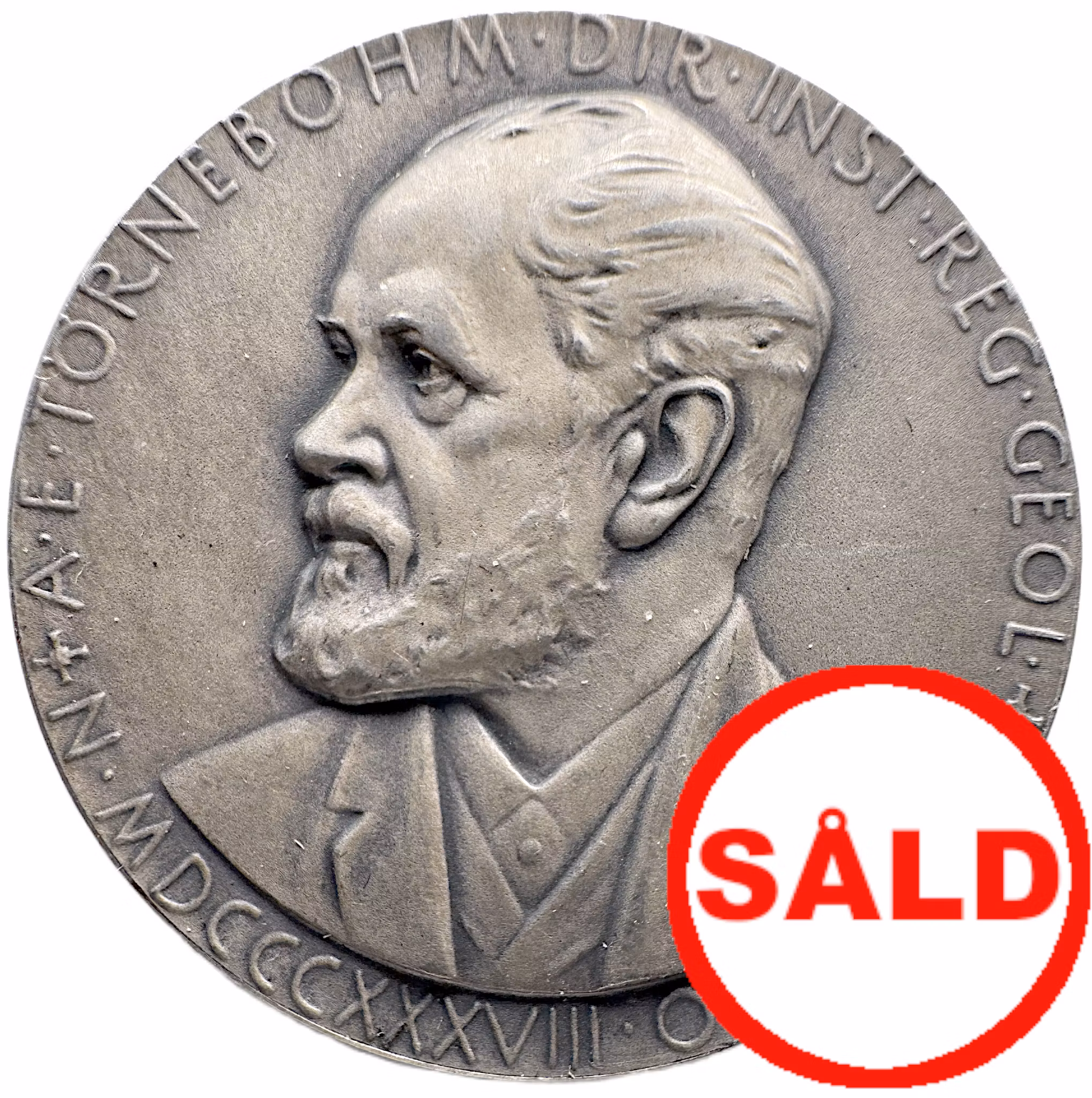 Alfred Elis Törnebohm (1838–1911) av Erik Lindberg för Kungliga Vetenskapsakademien 1929 -  Urbergets gåtor och fjällkedjans struktur