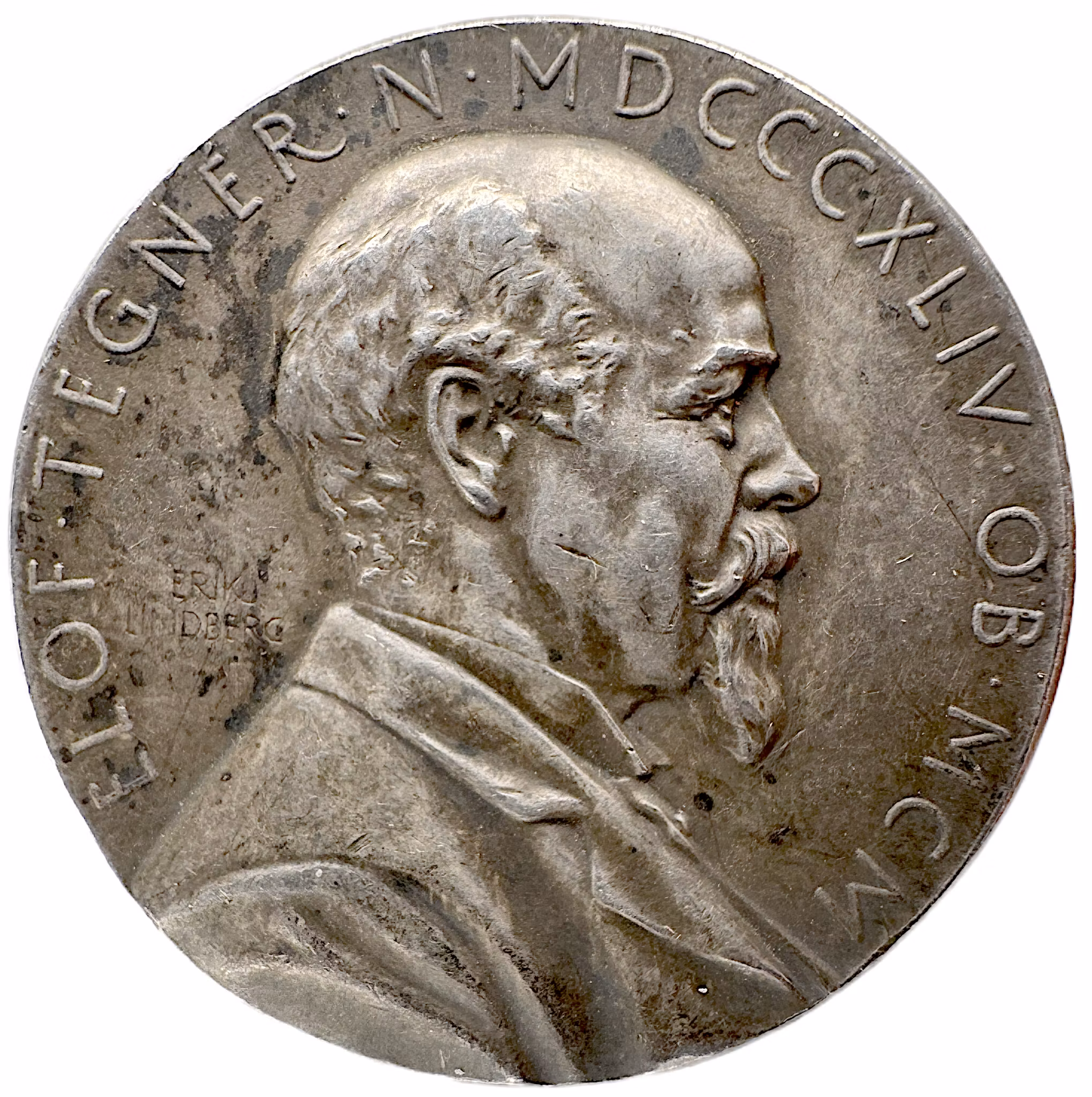 Elof Tegnér (1844–1900) av Erik Lindberg för Kungliga Vetenskapsakademien 1912 - I farfaderns skugga och ljus