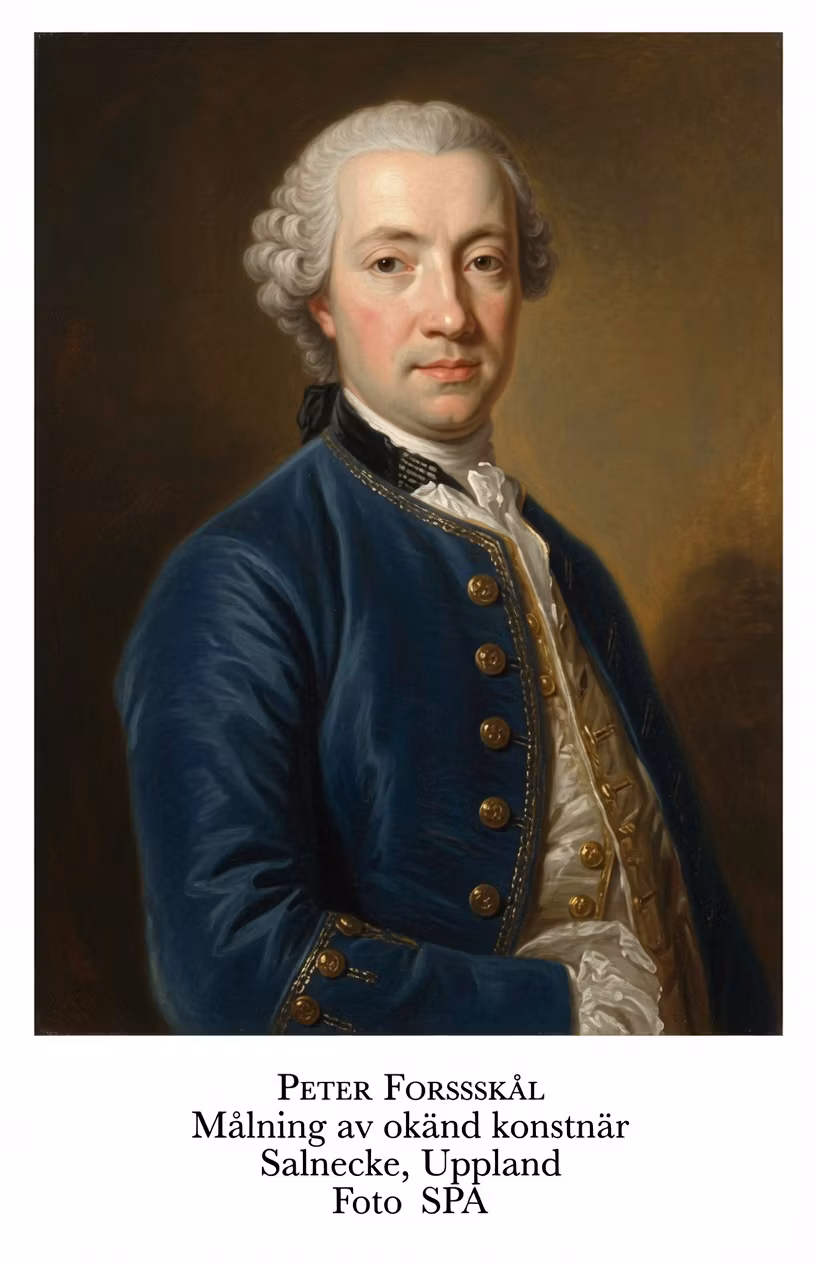 Peter Forsskål (1732-1763) av Erik Lindberg 1922 - Carl von Linnés mest framstående, men också allra mest egensinniga lärjunge