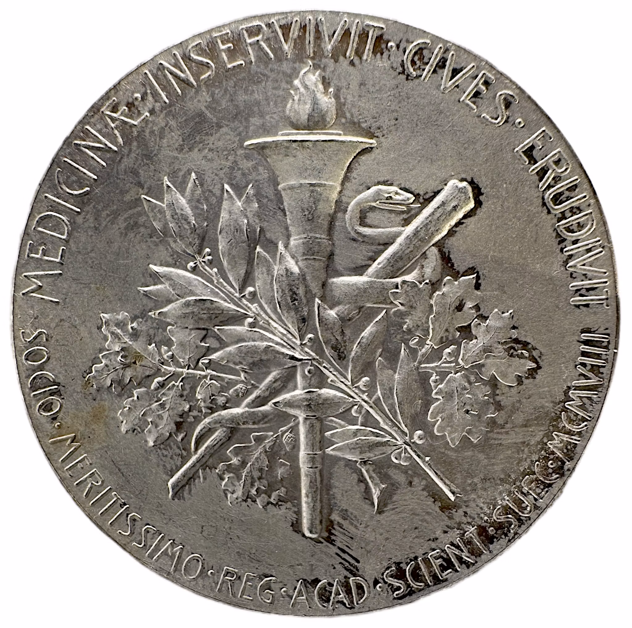 Nils Johan Berlin (1812–1891) utgiven av Kungliga Vetenskapsakademien 1908 -  Akademisk karriär och kemins utveckling