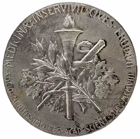 Nils Johan Berlin (1812–1891) utgiven av Kungliga Vetenskapsakademien 1908 -  Akademisk karriär och kemins utveckling