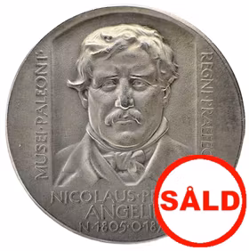 Nils Peter Angelin (1805–1876) av Erik Lindberg för Kungliga Vetenskapsakademien 1920