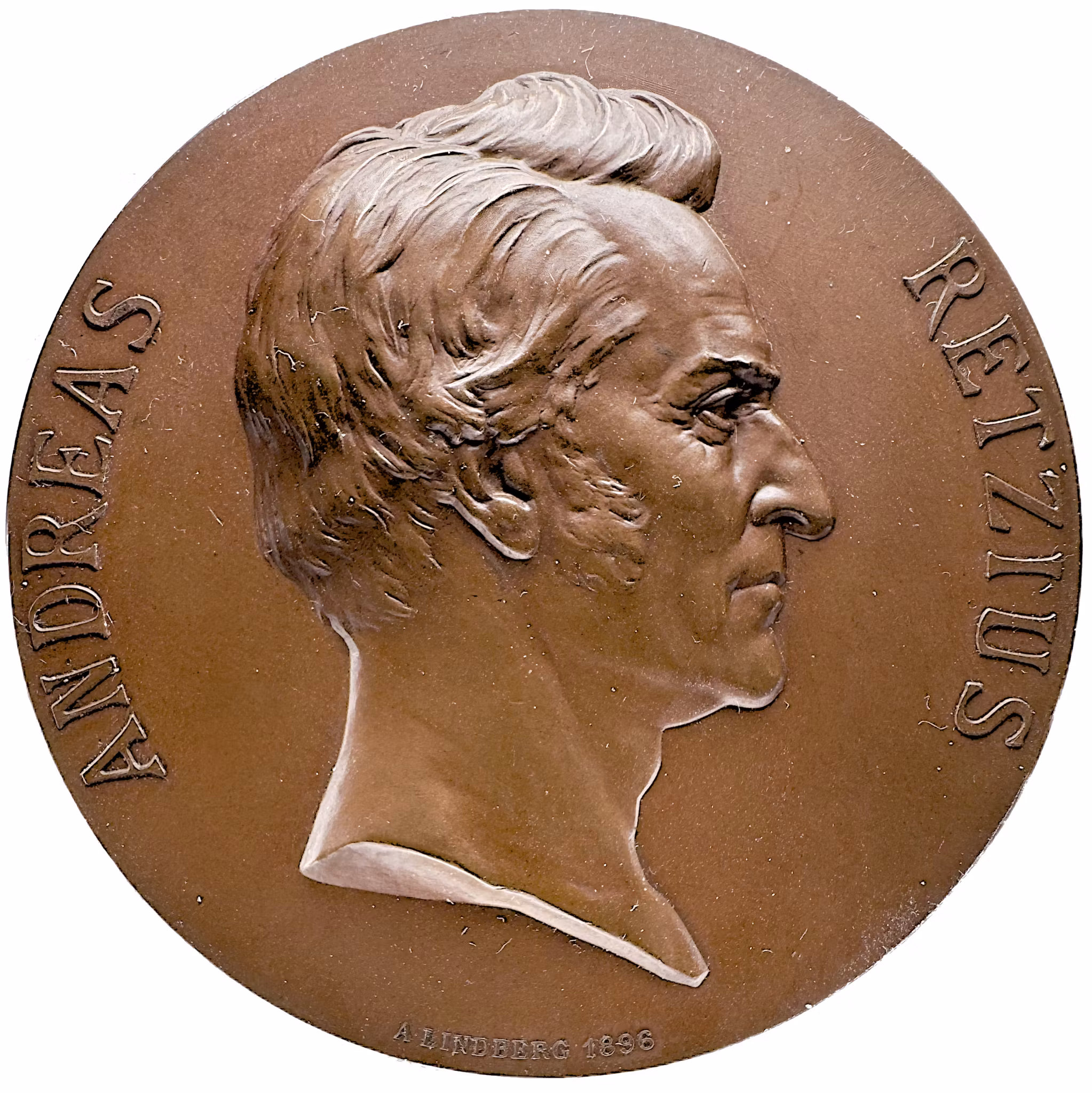Anders Retzius (1796–1860) – Till hundraårsminnet av hans födelse av Adolf Lindberg år 1896 - Sällsynt