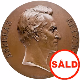 Anders Retzius (1796–1860) – Till hundraårsminnet av hans födelse av Adolf Lindberg år 1896 - Sällsynt