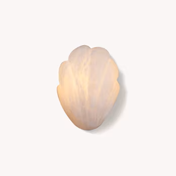 Shell Sconce Alabaster