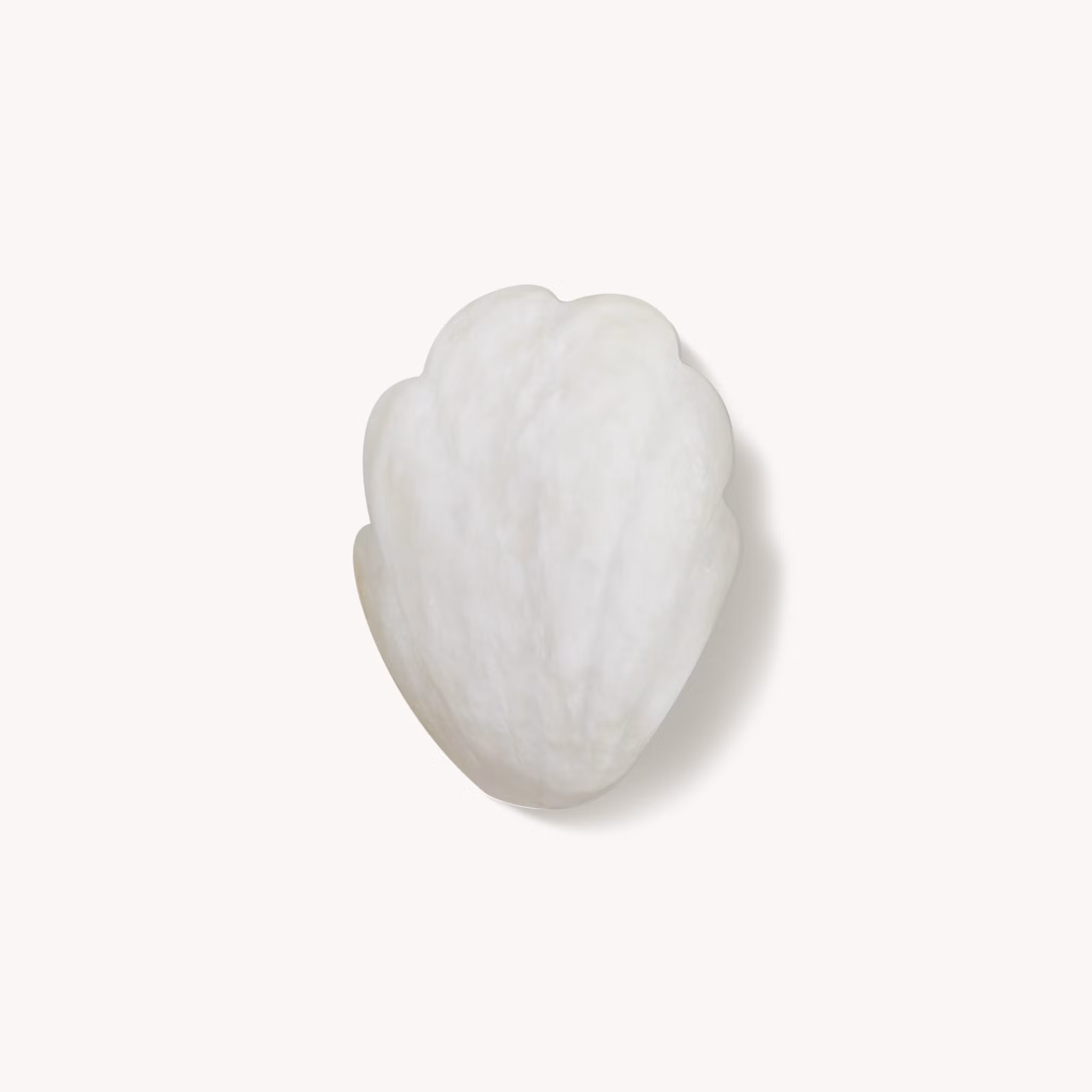 Shell Sconce Alabaster