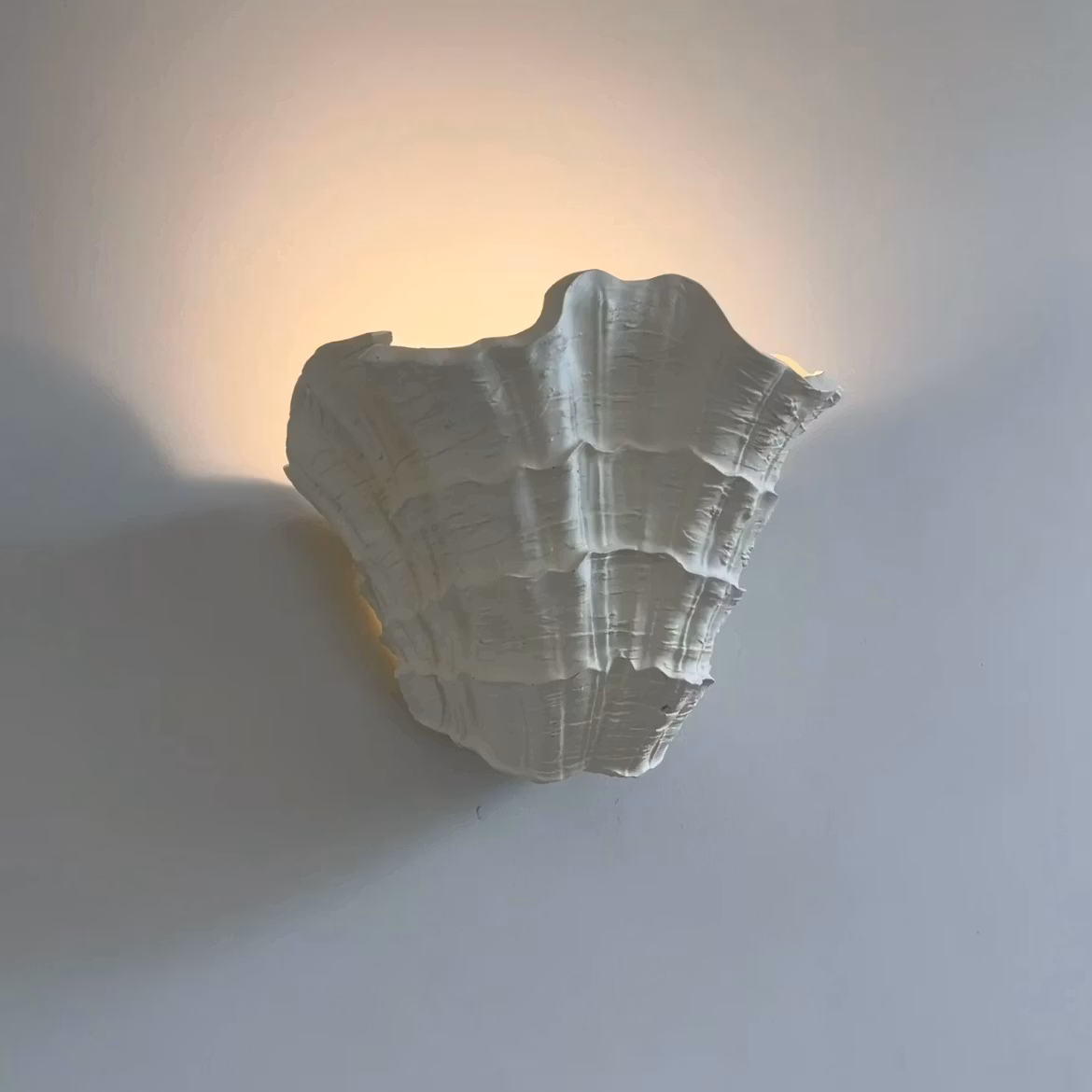 Shell Wall Sconce