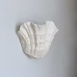 Shell Wall Sconce