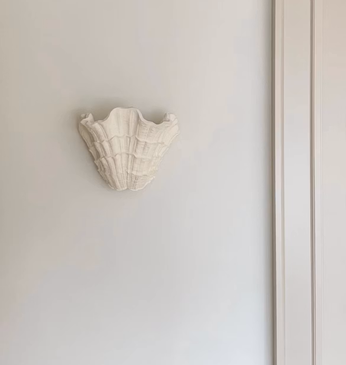 Shell Wall Sconce