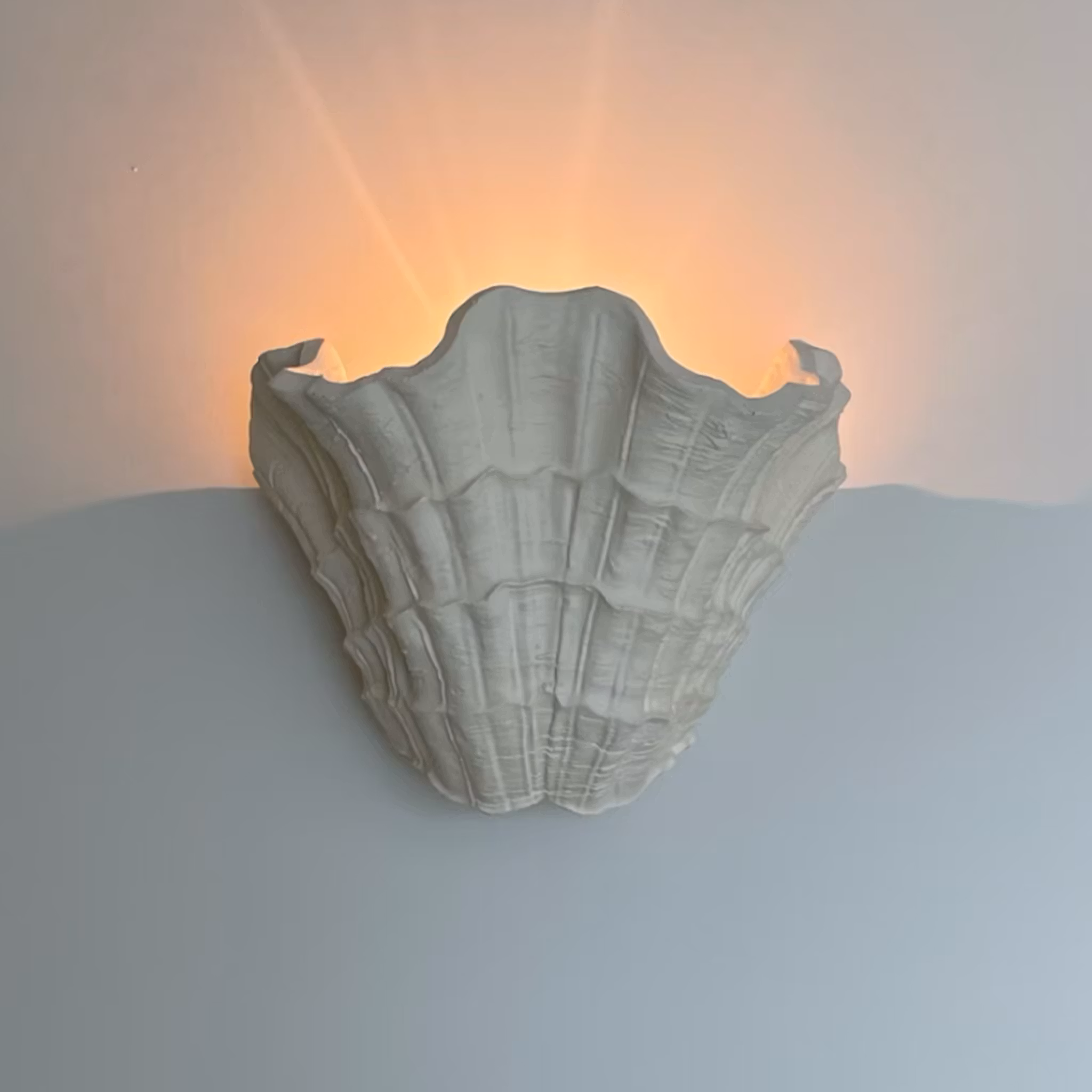Shell Wall Sconce