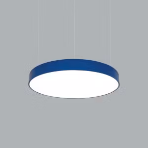Baryon Disk 125W
