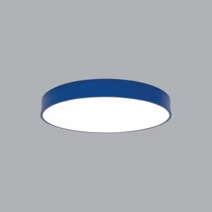 Baryon Disk 125W