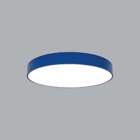 Baryon Disk 125W