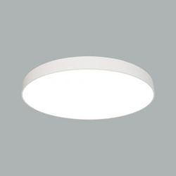 Baryon Disk 175W