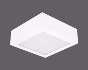 Canvas T