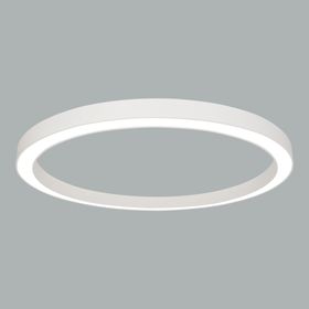 Baryon SP 105W