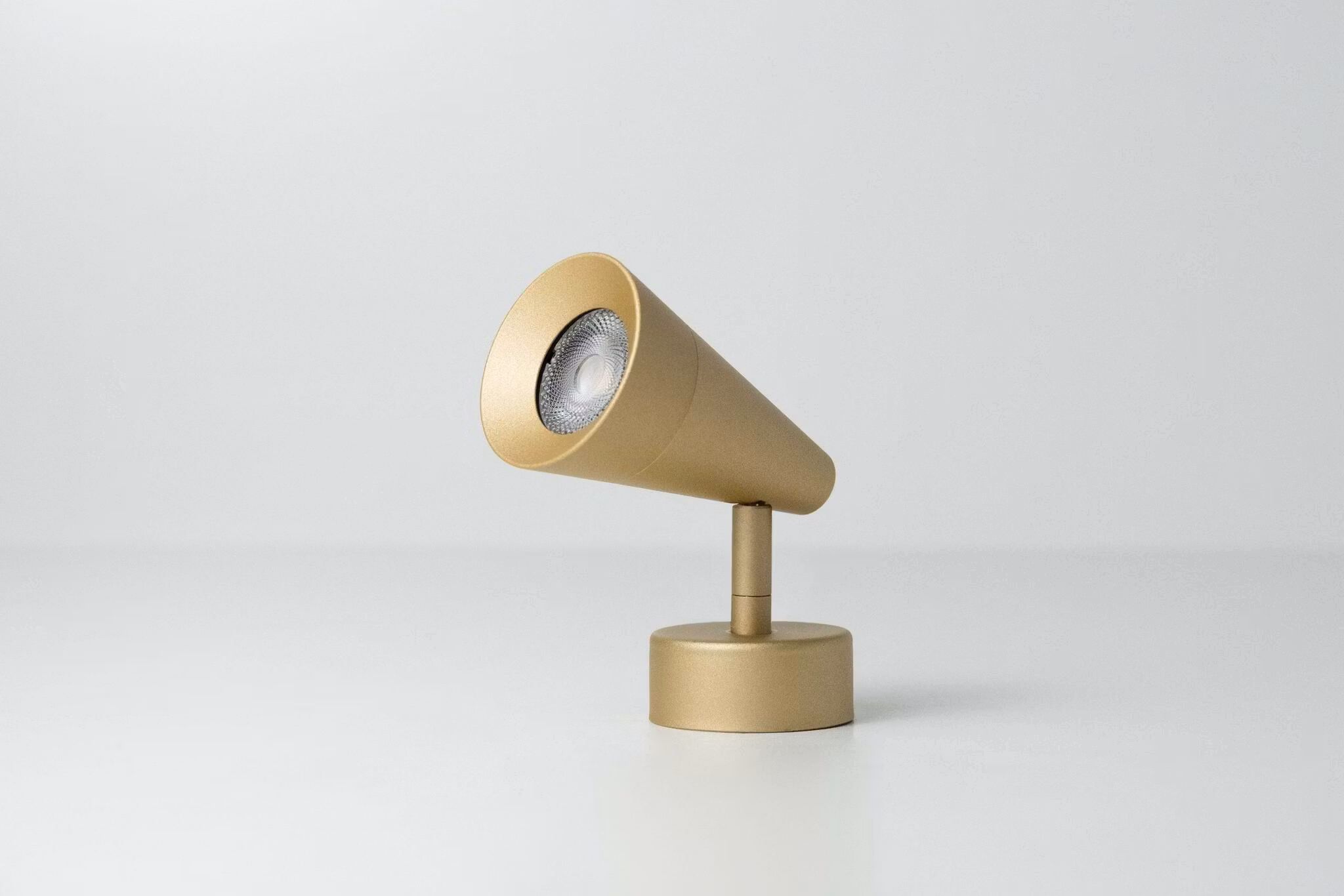 Calla Spotlight