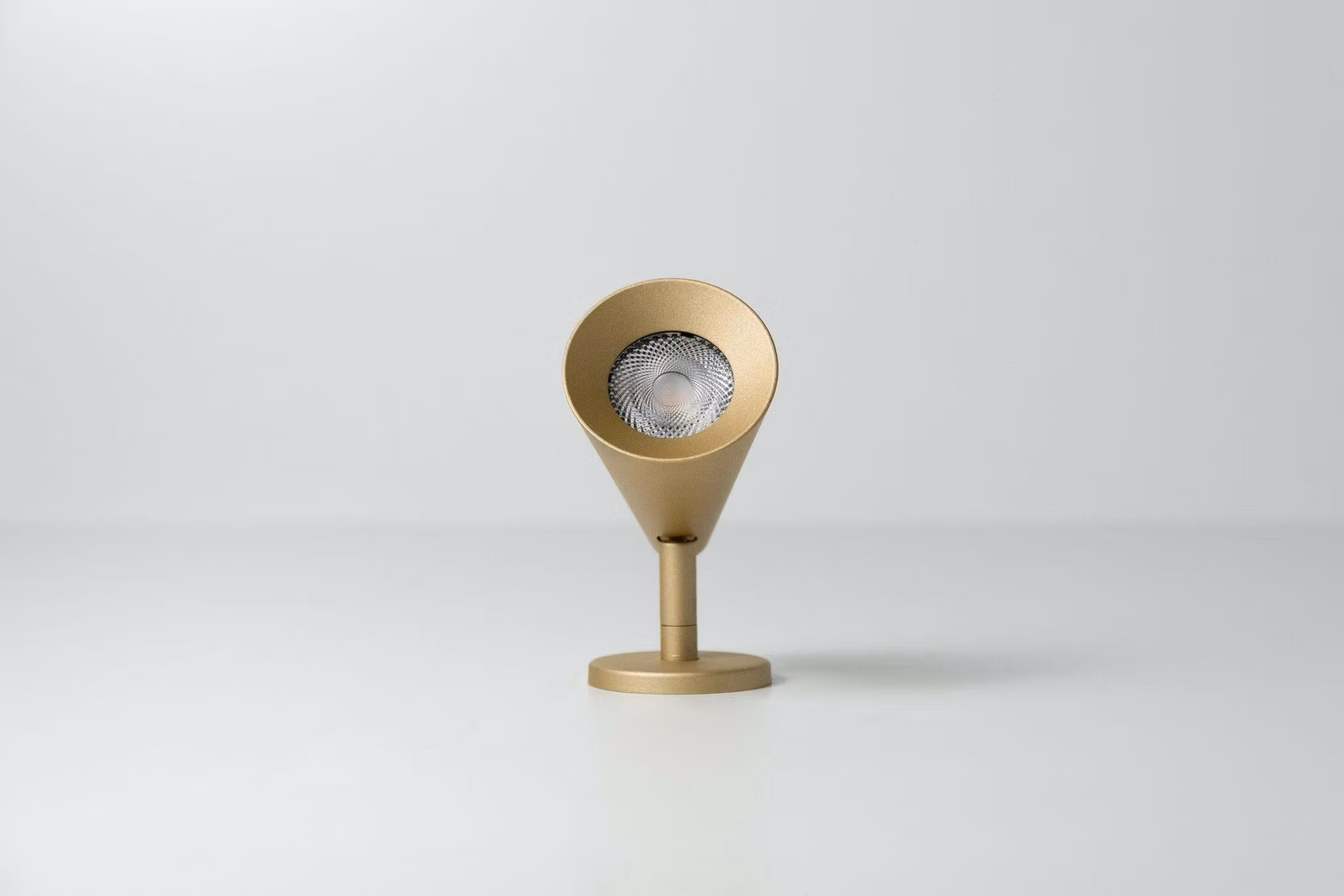 Calla Spotlight