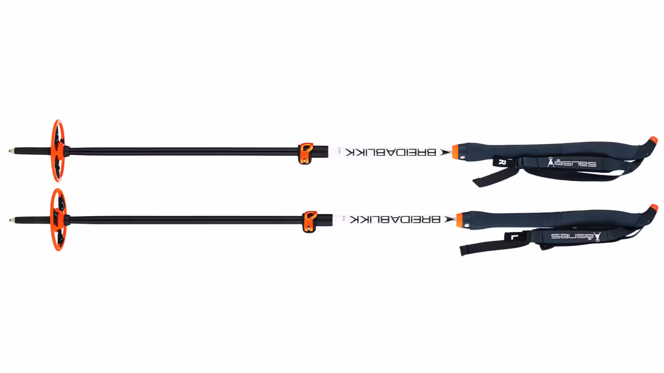Åsnes Breidablikk BC 2-section Alloy Pole Turskidstav