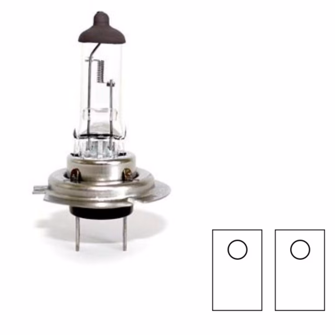 H7 lampa H1 12V 100W