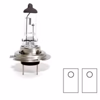 H7 lampa H1 12V 100W