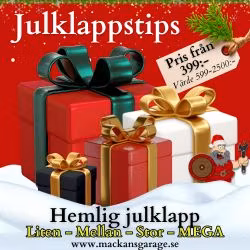 HEMLIG JULKLAPP - 4 olika storlekar