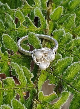 Ring Frost