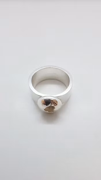 Ring Hidden Secret i 925 sterlingsilver och guld