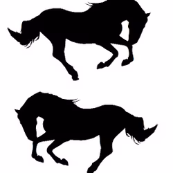 Dekor till hästtransport - Häst i galopp Par