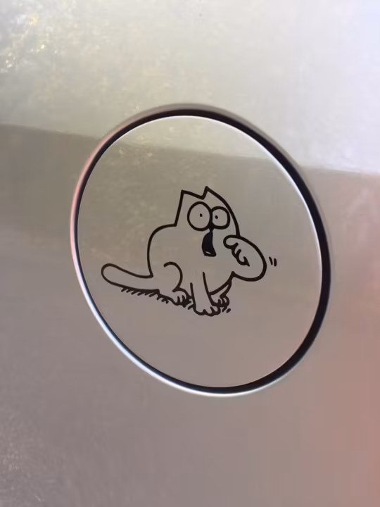 Dekal - Katt pekar på mun